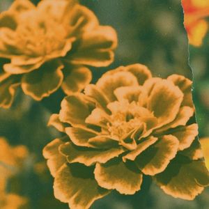 Flowers (Single)