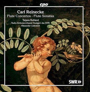 Flute Concertos / Flute Sonatas