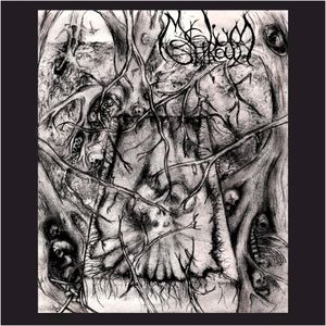 Mycelium Shroud