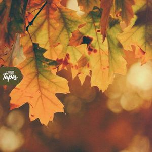 Colorful Leaves (Single)