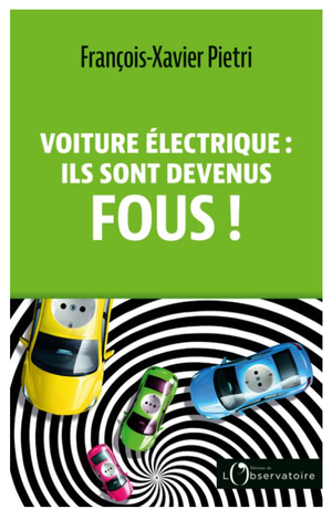 Voiture électrique : ils sont devenus fous !