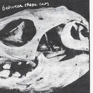 Between These Ears (Single)