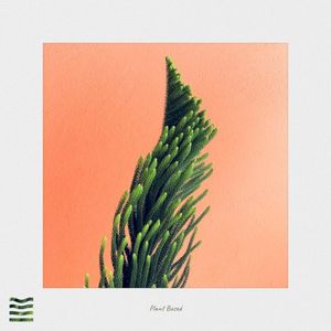 Plant Based (Single)