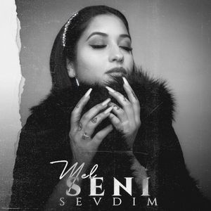 Seni Sevdim (Single)