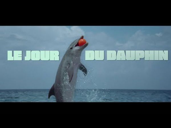 Le Jour du dauphin