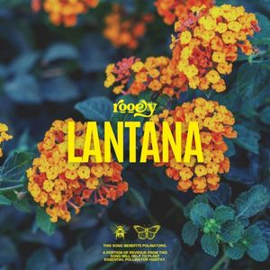 Lantana (Single)