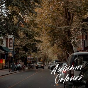 Autumn Colours (Single)