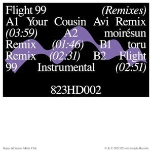 Flight 99 (Remixes)