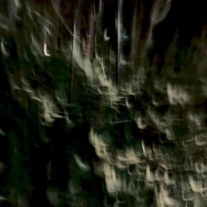Loss (Single)
