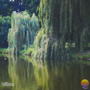 Willow (Single)