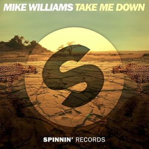 Take Me Down (Single)