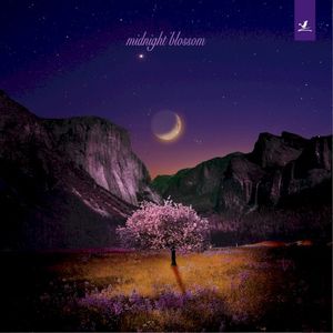 Midnight Blossom (Single)