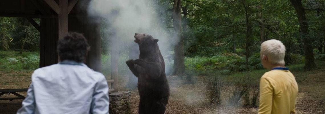 Cover Crazy Bear
