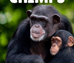 image-https://media.senscritique.com/media/000021251659/0/rencontre_avec_les_chimpanzes.jpg