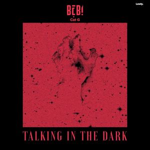 Talking in the Dark (Single)