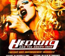 image-https://media.senscritique.com/media/000021251957/0/hedwig_and_the_angry_inch.jpg