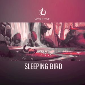 sleeping bird (Single)