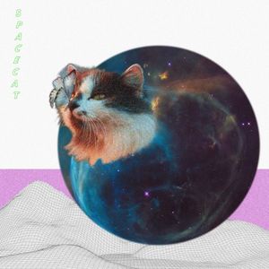 Spacecat (Single)