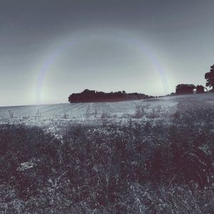 Fractals (Single)