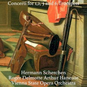 Concerto in D Major for 2 Trumpets and Strings Orchestra with Harpsichord and Organ, IFM 1: I. Allegro