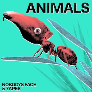 Animals (Single)