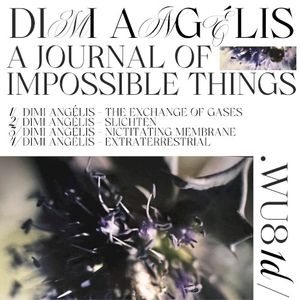 A Journal of Impossible Things (EP)