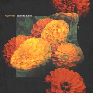 Peaceful Minds (Single)