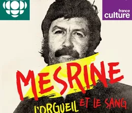 image-https://media.senscritique.com/media/000021266064/0/mesrine_l_orgueil_et_le_sang.webp