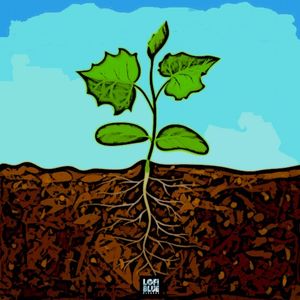 Plant Growth (Single)