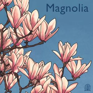 Magnolia (Single)