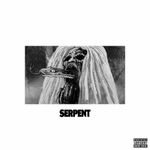 Pochette Serpent