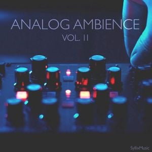 Analog Ambience Vol. 2