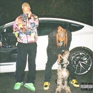#ZX800_PIT_VIPER (Single)