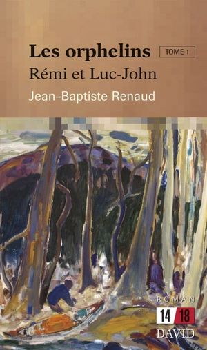 Les orphelins. Vol. 1. Rémi et Luc-John