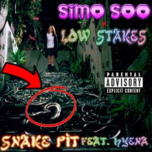 snake pit (LOW STAKES Remix) (Single)