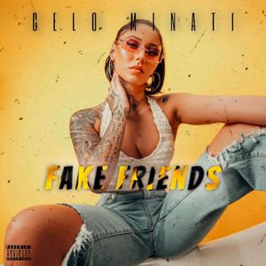 Fake Friends (Single)