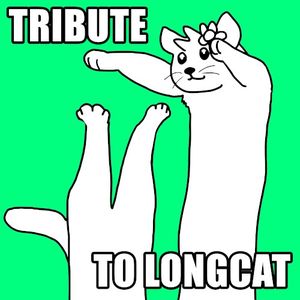 TRIBUTE TO LONGCAT (Single)