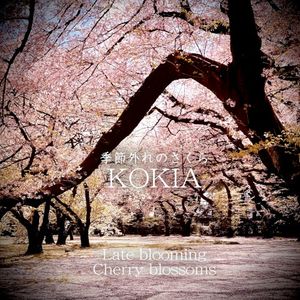 Late blooming Cherry blossoms (Single)