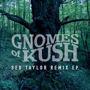 Seb Taylor Remix EP (EP)