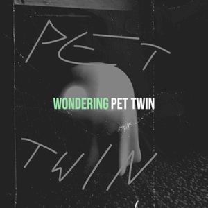 Wondering (Single)