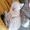 Avatar coton6666