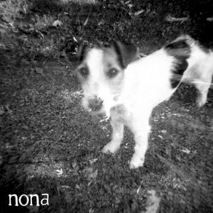 Split EP with NONA & Crow Bait (EP)