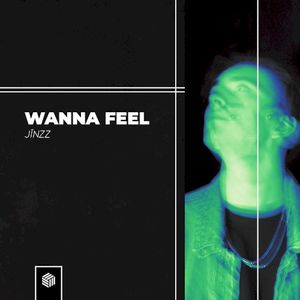 Wanna Feel (Single)