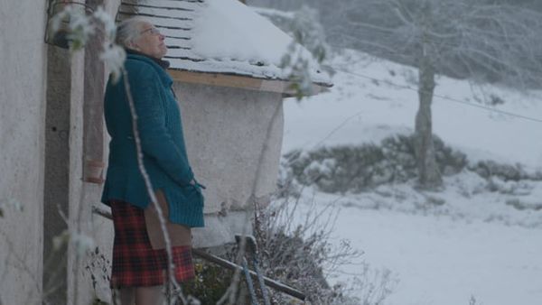 Suzanne jour après jour