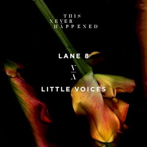 Little Voices (Single)