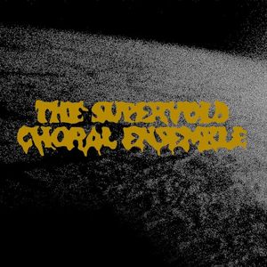 The Supervoid Choral Ensemble (EP)