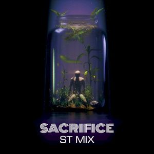 Sacrifice (ST mix)