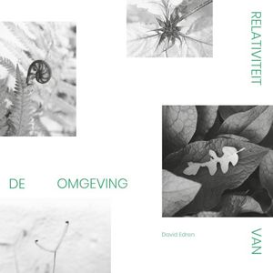 Relativiteit van de Omgeving