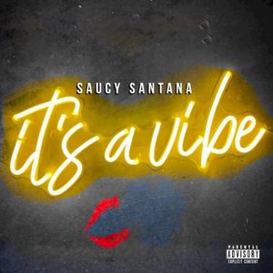 It’s a Vibe (Single)