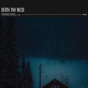 Hurts Too Much (Single)